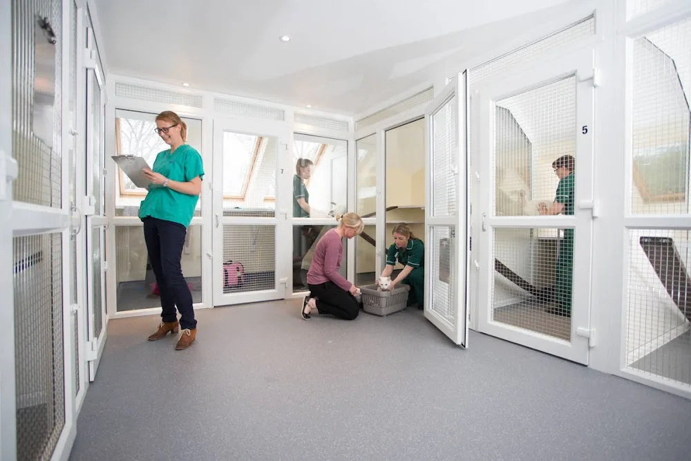 The Cat Hotel - Norfolk pet otel görseli 2