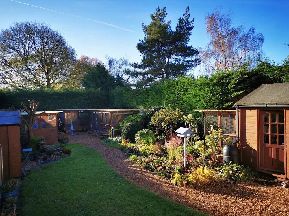 The Garden Cattery - Norfolk pet otel görseli 2