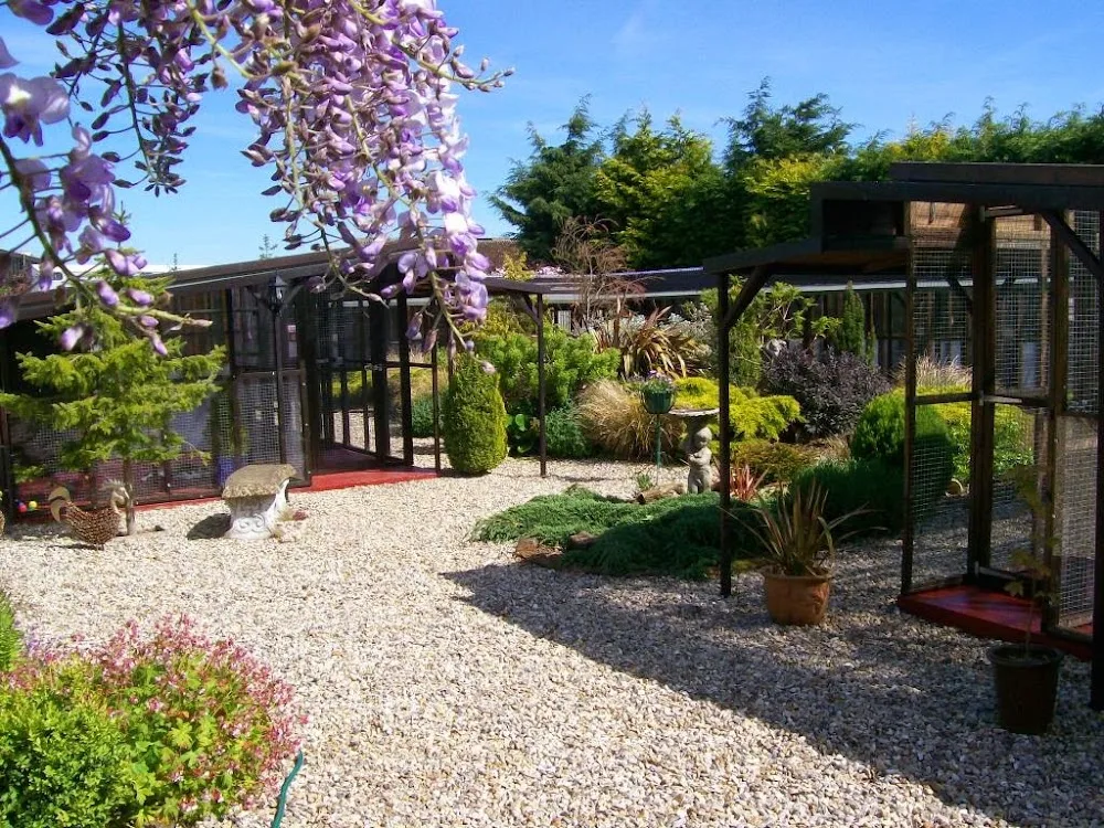 The Garden Mews - Norfolk pet otel görseli 2