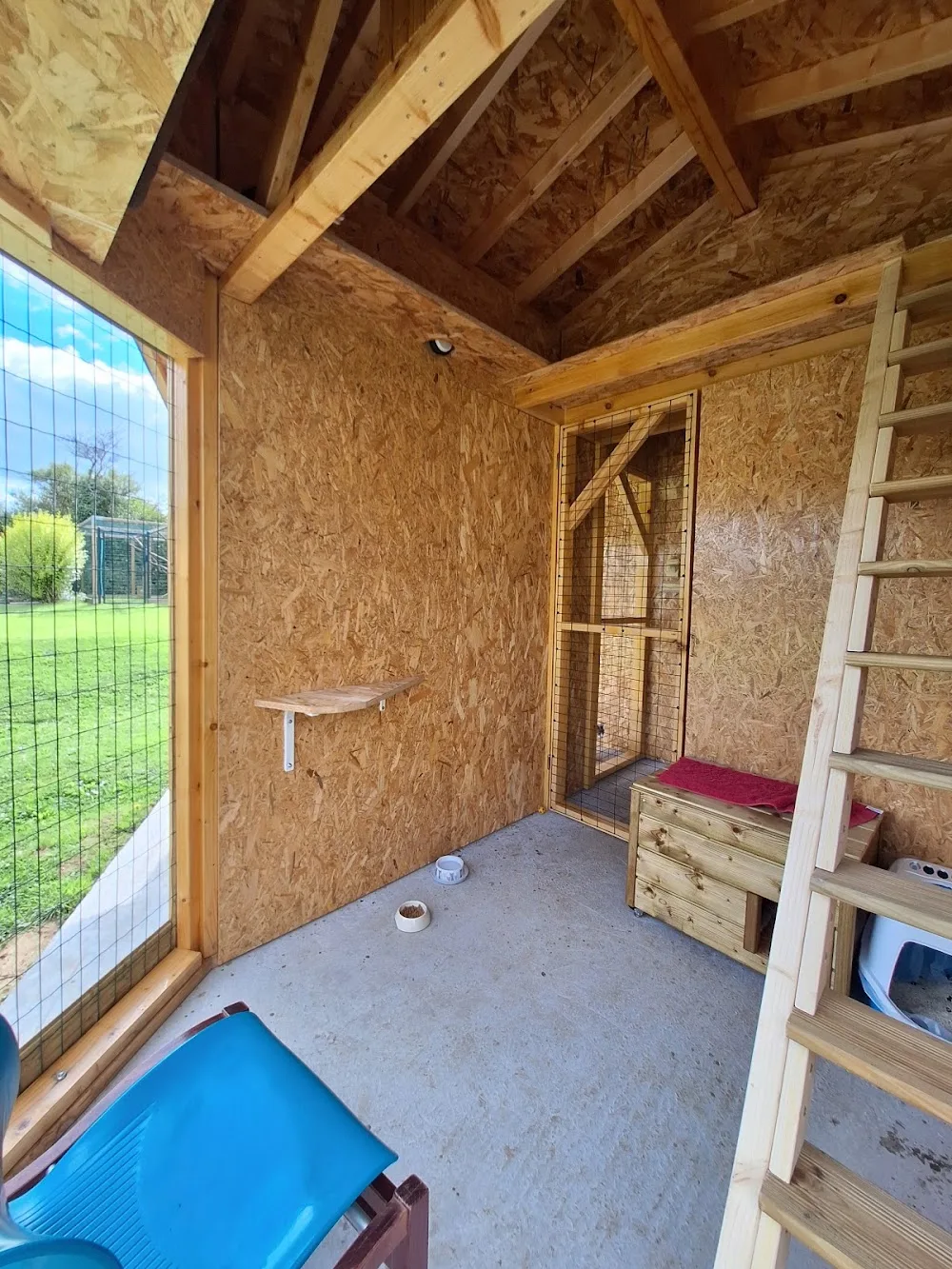Au Bonheur des Chats : Pension féline pour chats (Manche 50 - Saint-Floxel) - Normandie pet otel görseli 3