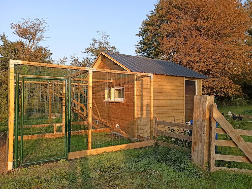 Au Bonheur des Chats : Pension féline pour chats (Manche 50 - Saint-Floxel) - Normandie pet otel görseli 6