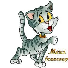 Au Bonheur des Chats : Pension féline pour chats (Manche 50 - Saint-Floxel) - Normandie pet otel görseli 9
