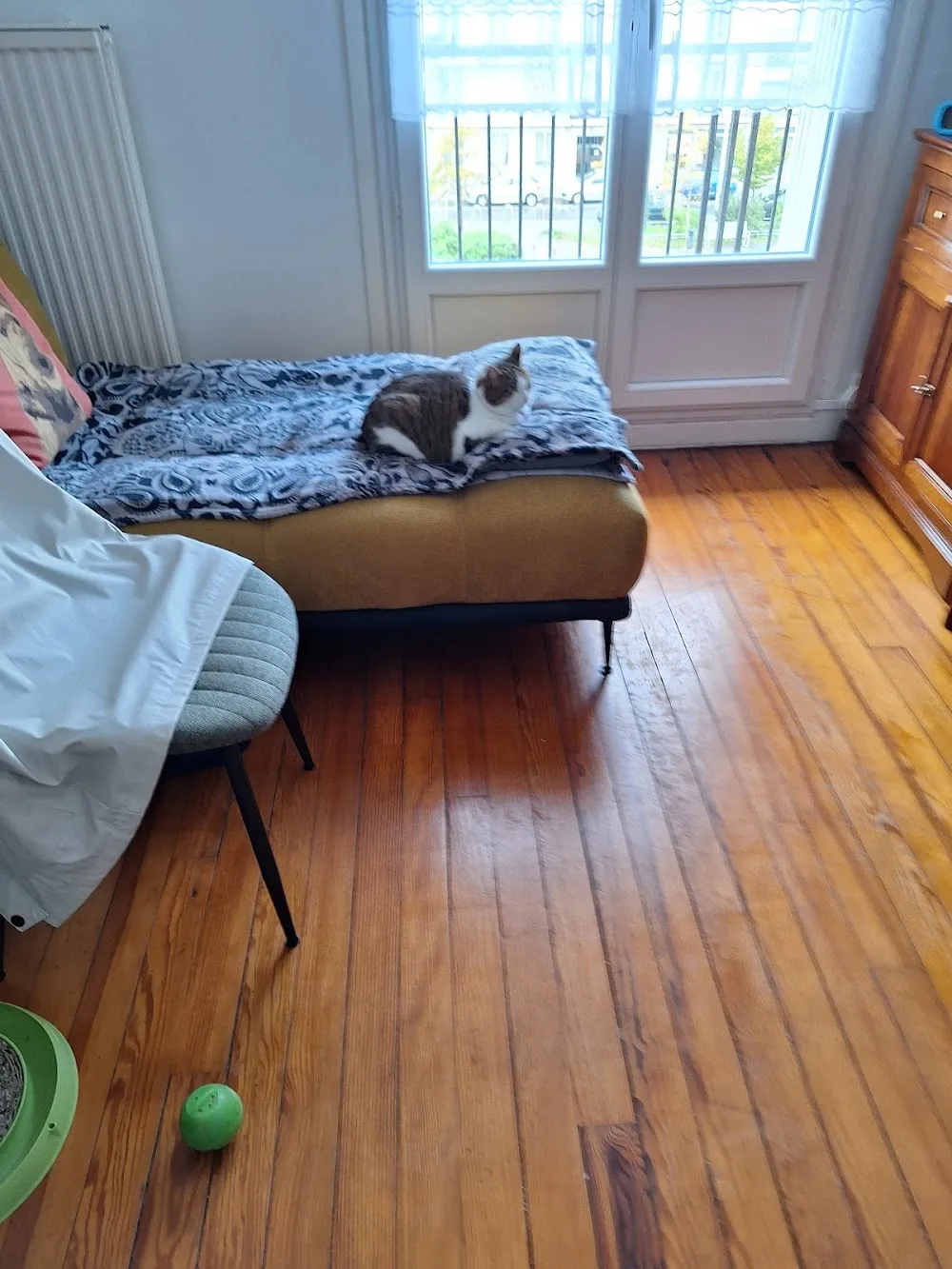 Chatterie du Fay - Normandie pet otel görseli 3