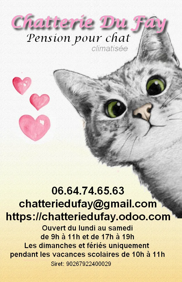 Chatterie du Fay - Normandie pet otel görseli 6