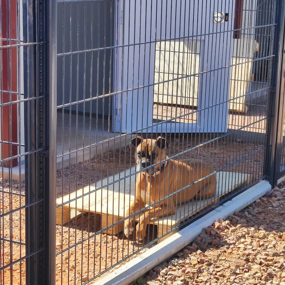 Fleur'&compagnie, pension pour chien et chat, pension pour chats, pension pour chiens. - Normandie pet otel görseli 3