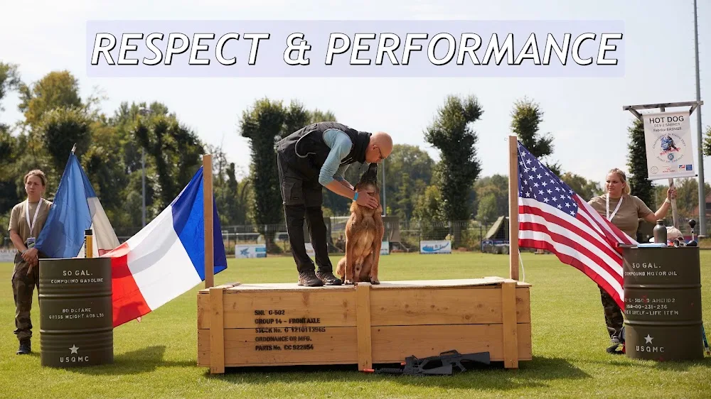 Passion Chien - Normandie pet otel