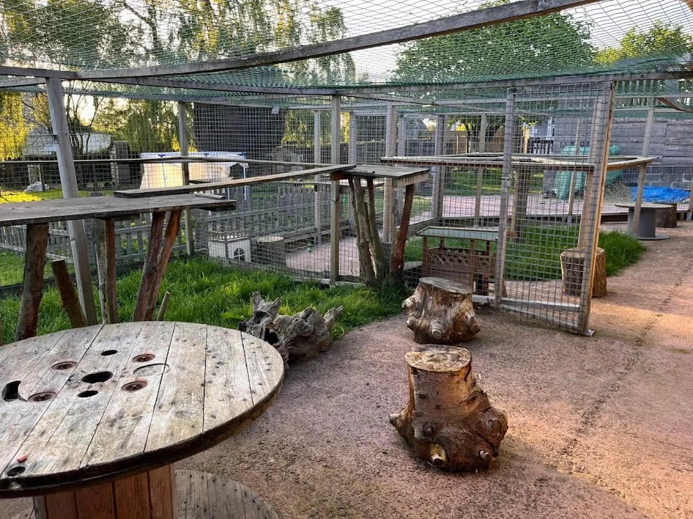 Pension 3 petits chats - Normandie pet otel görseli 3