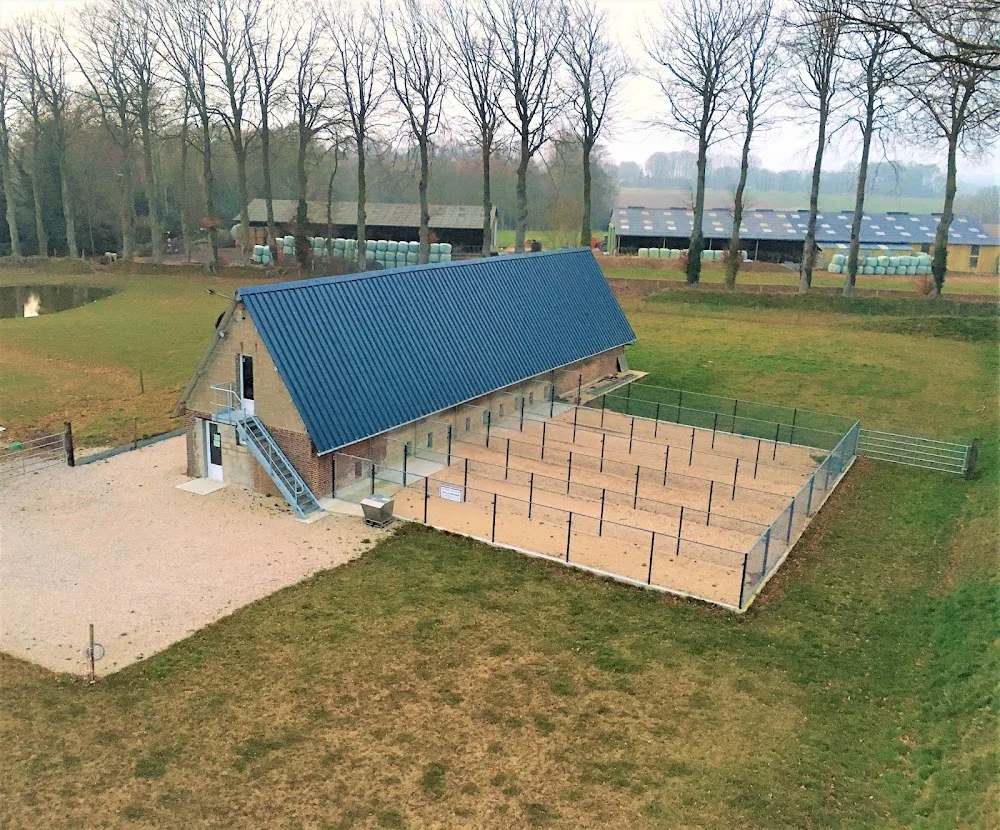Pension pour chien à la ferme de la motte - Normandie pet otel