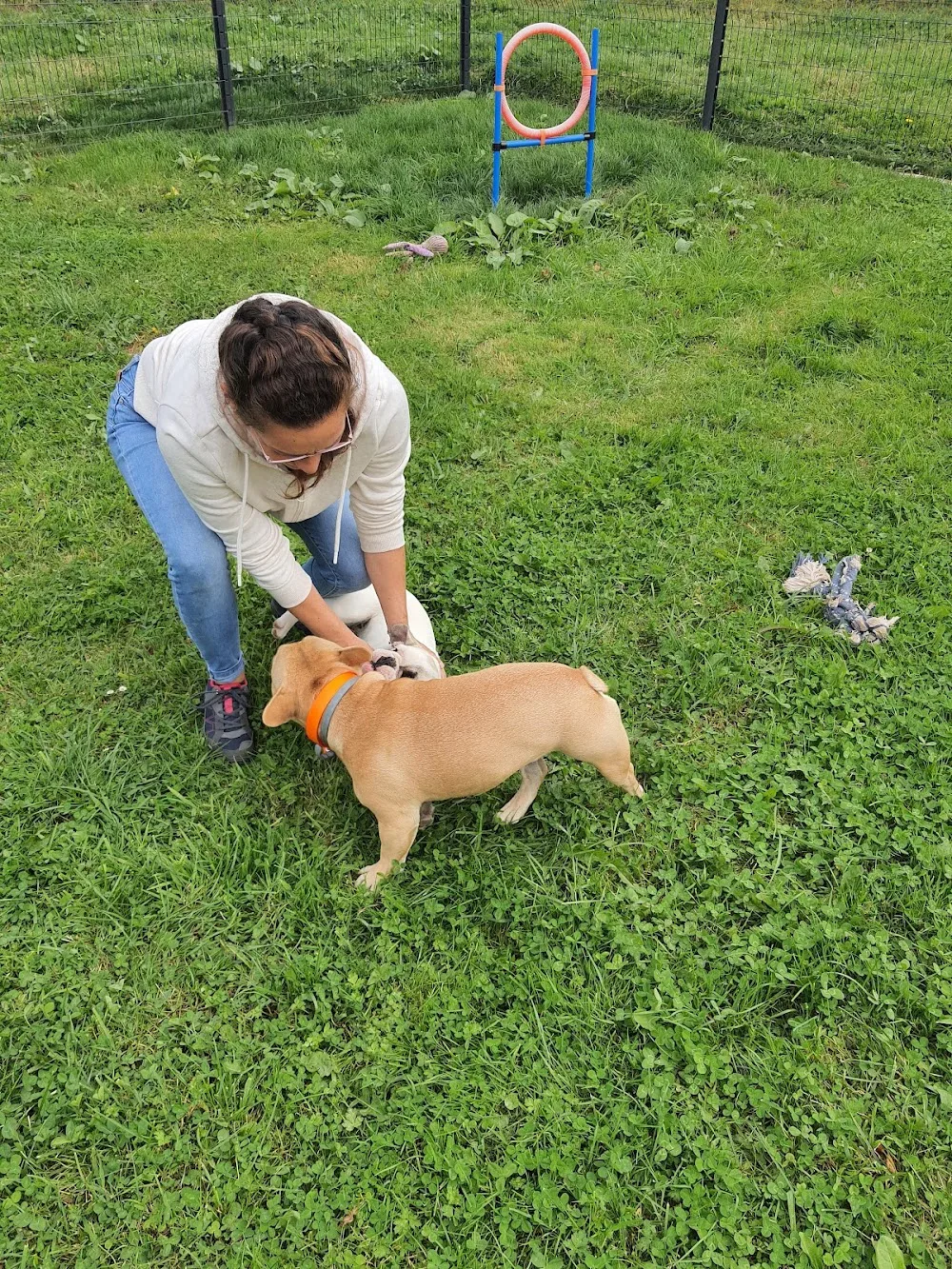 Pension pour chien à la ferme de la motte - Normandie pet otel görseli 3