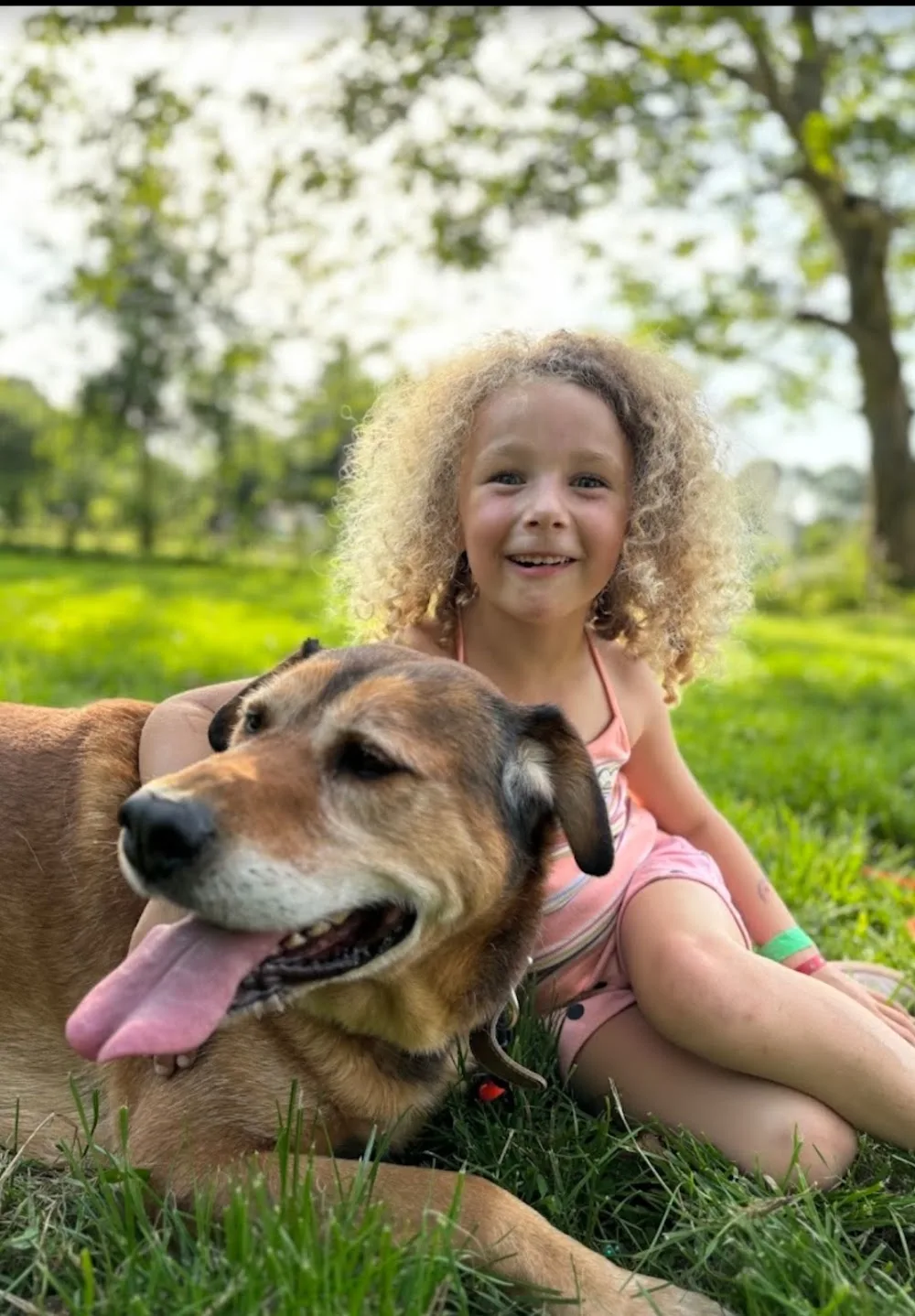 Pension pour chien des Vallons de la Sée - Normandie pet otel görseli 2
