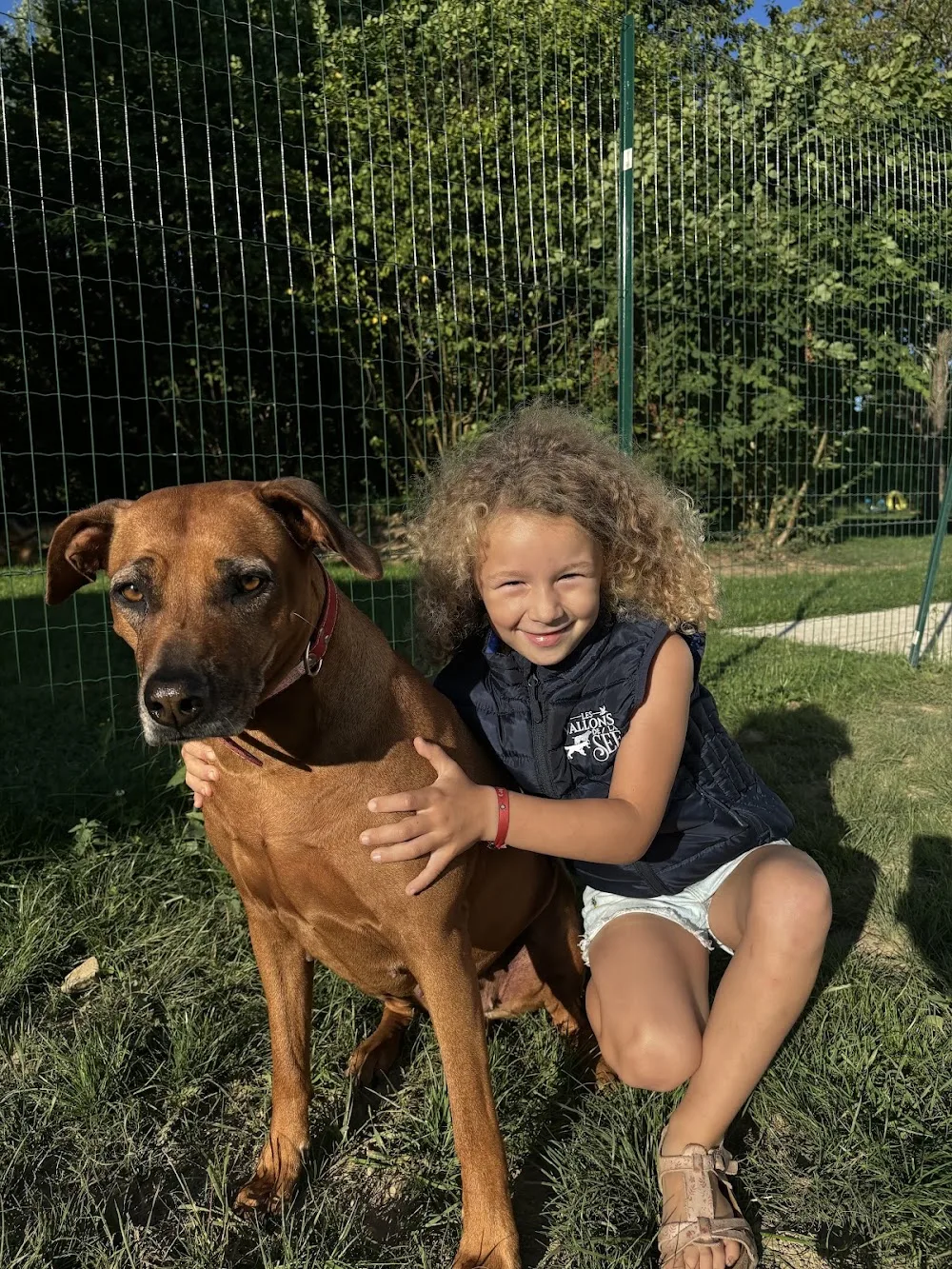 Pension pour chien des Vallons de la Sée - Normandie pet otel görseli 3
