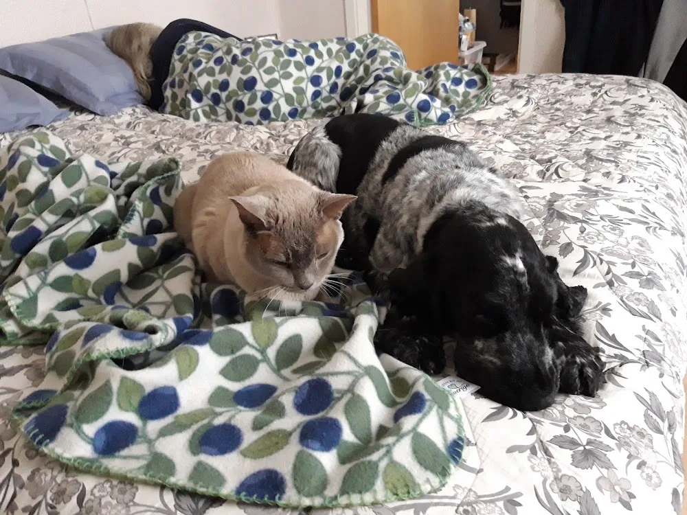 Binagårdens Hund- & Kattpensionat - Norrbotten pet otel