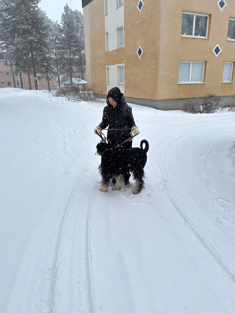 Hops & Paws by Indah - Norrbotten pet otel