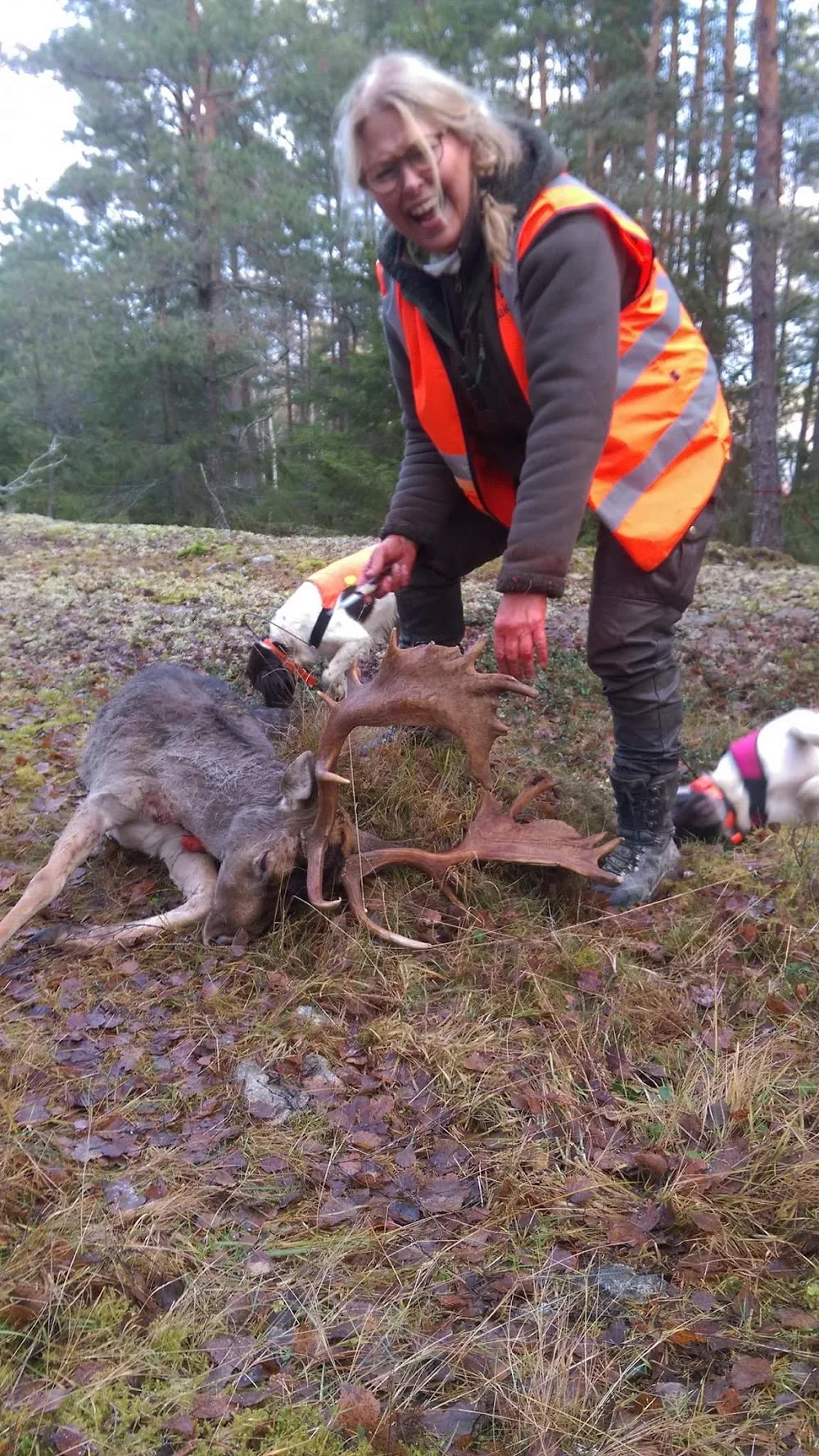 Manninger och Wildbachberg AB - Norrtälje pet otel görseli 3