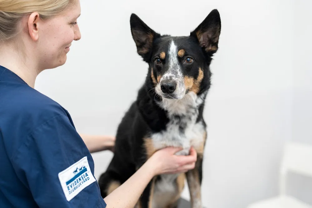 Norrtälje Veterinärklinik Evidensia - Norrtälje pet otel