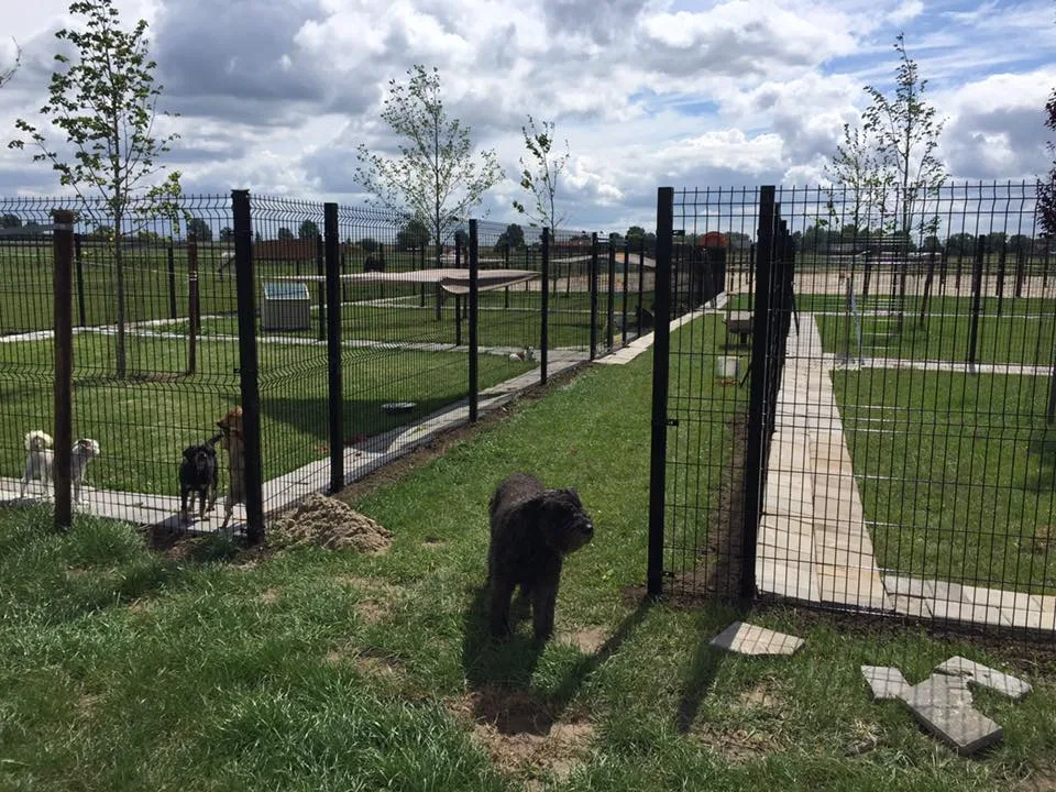De Oude Pannenhoef - North Brabant pet otel görseli 3