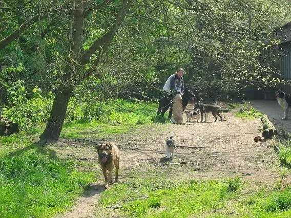 Dierenpension 't Heike - North Brabant pet otel görseli 3