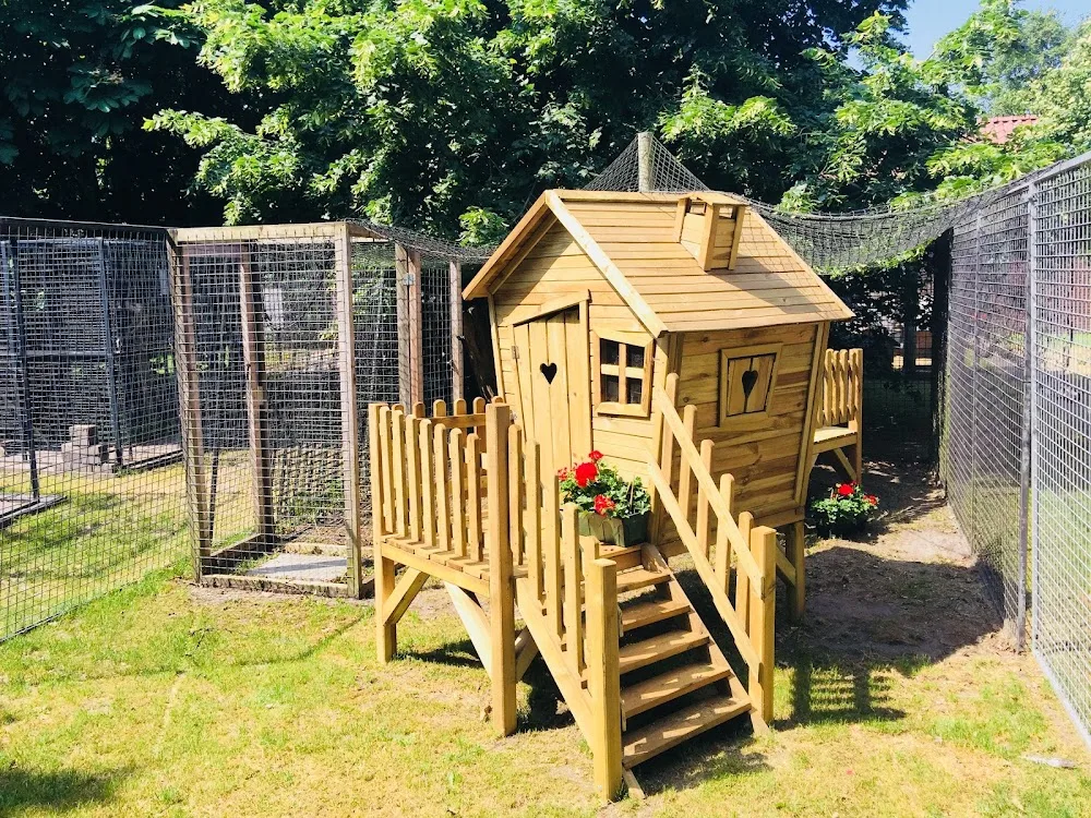 Dierenpension Teraalst - North Brabant pet otel görseli 3