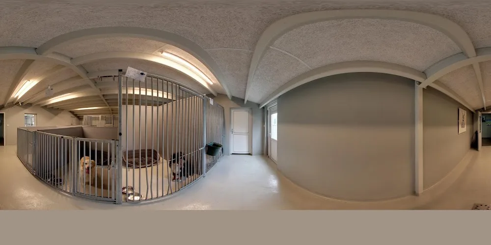 Dierenvakantieboerderij "De Lofert" - North Brabant pet otel görseli 3