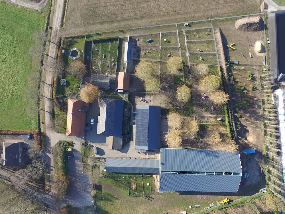 Dierenwelzijncentrum In 't Veld - North Brabant pet otel