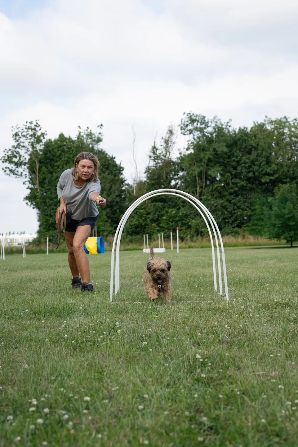 Doggywonderland - North Brabant pet otel görseli 3