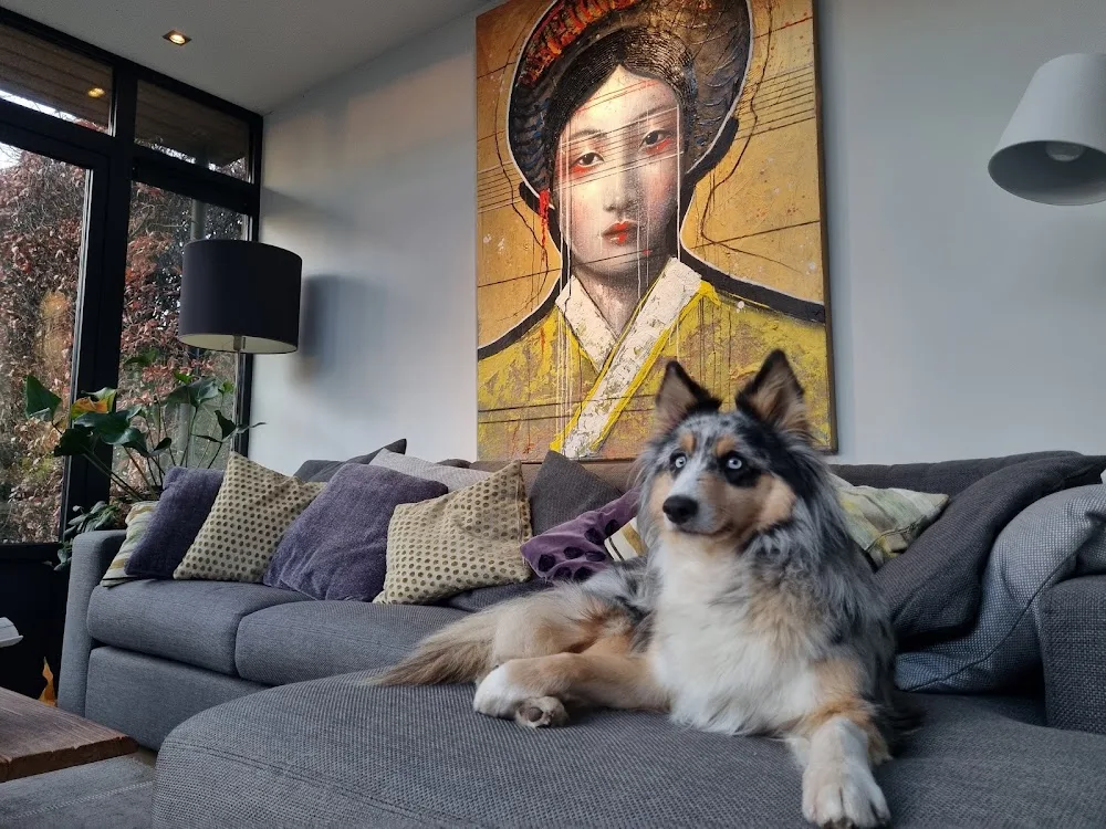 DogWorld Pension - North Brabant pet otel