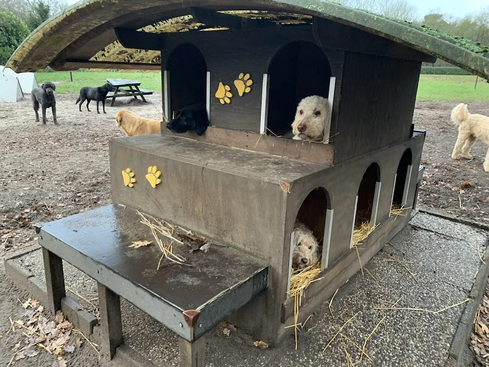 Hondendagopvang De Kleine Erve - North Brabant pet otel görseli 3