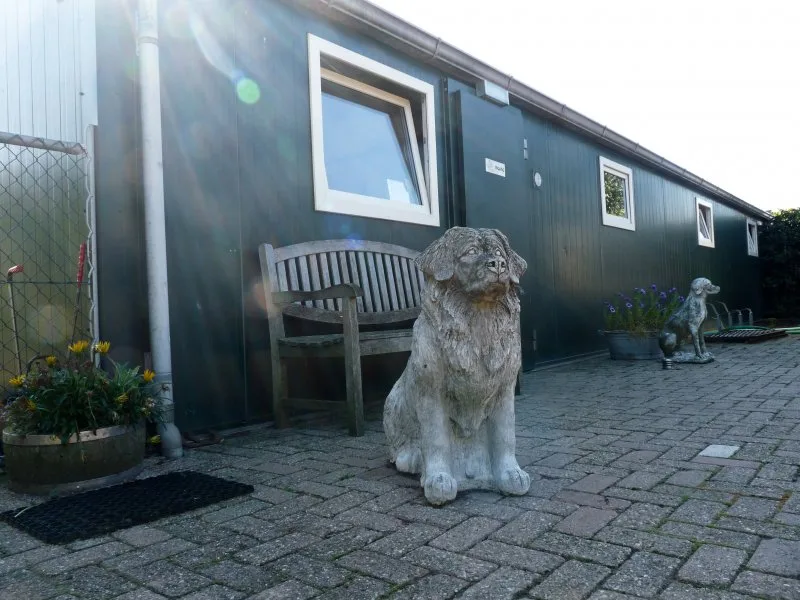Hondenvakantieboerderij Nicky - North Brabant pet otel görseli 3