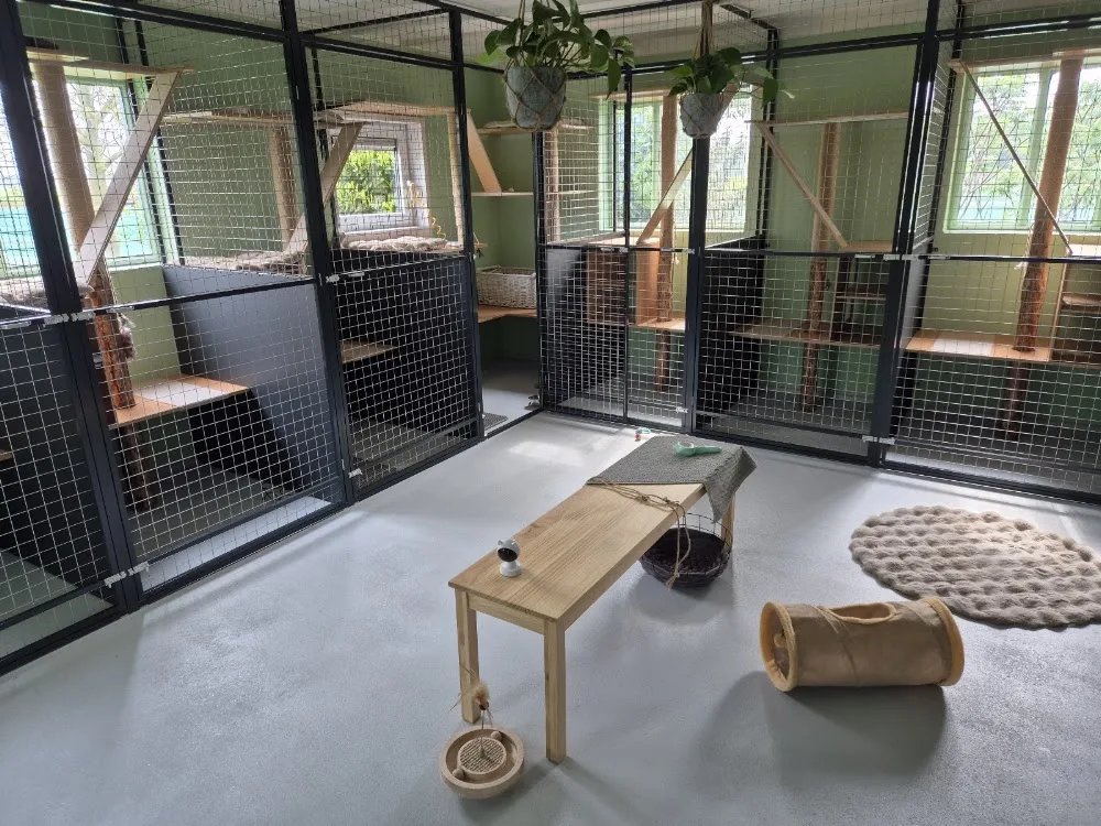 Kattenhotel Achtmaal - North Brabant pet otel görseli 3