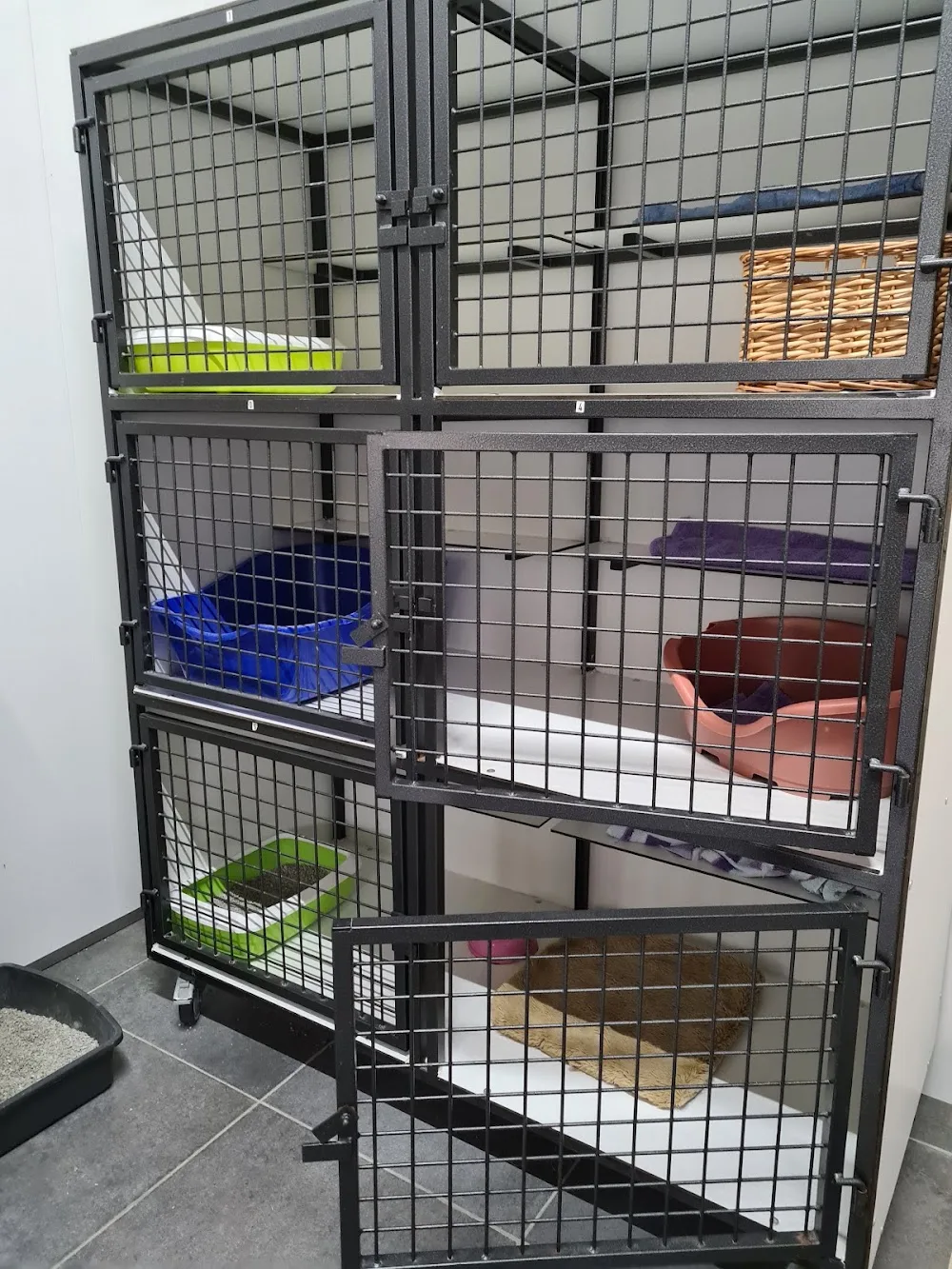 Kattenpension De Krullentrap - North Brabant pet otel