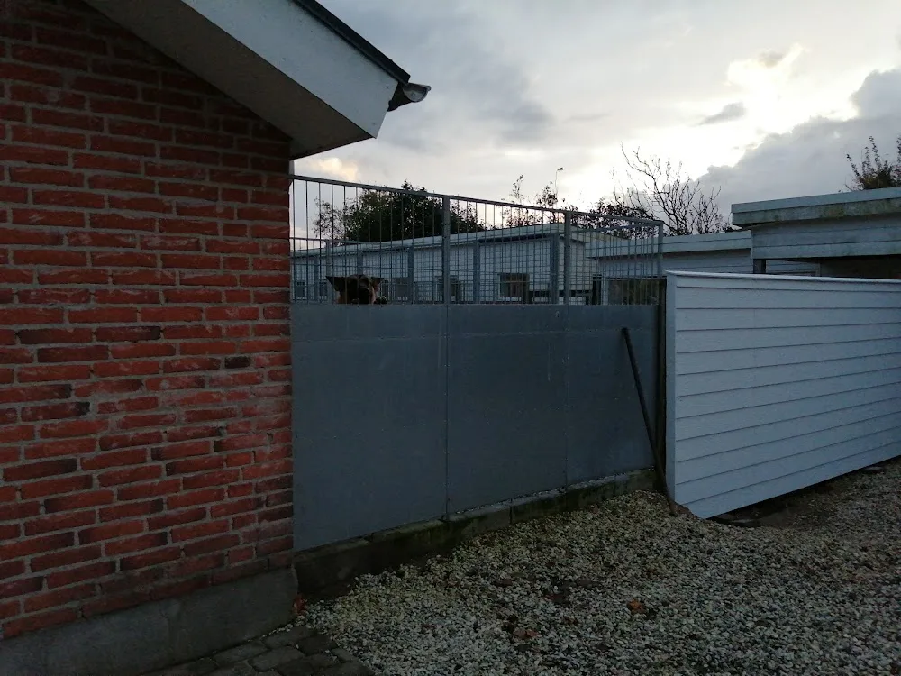 Den Lille Hundepension v/Helle Haue Mølnitz - North Denmark pet otel