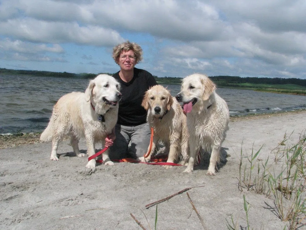 GoldenPrimrose - North Denmark pet otel