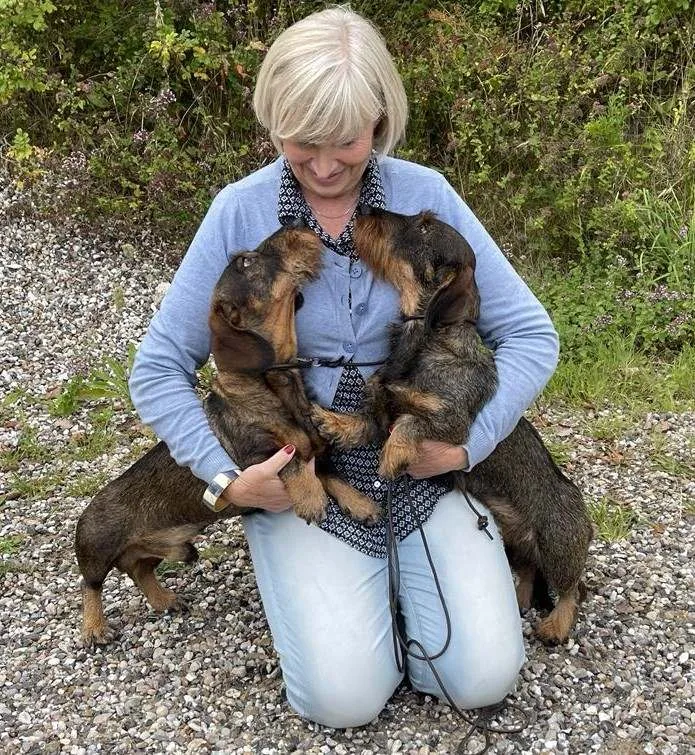 Kennel A'tempo - North Denmark pet otel görseli 2