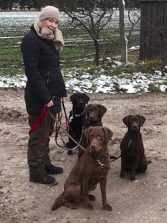 Kennel Engholm Enges Labrador - North Denmark pet otel görseli 2