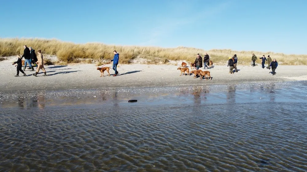 Kennel Kirafiki - North Denmark pet otel görseli 3