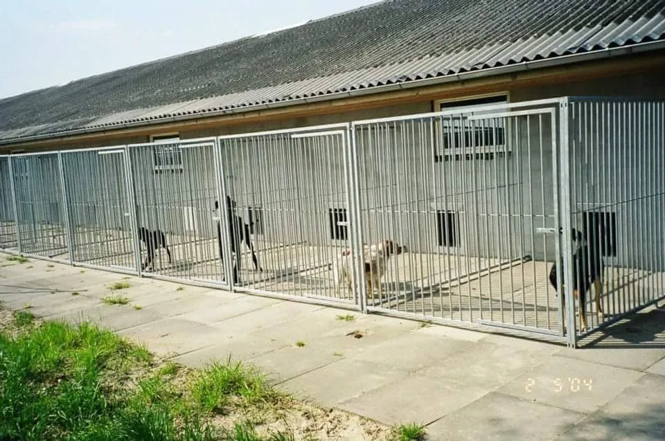 Odden Hundepension - North Denmark pet otel görseli 3