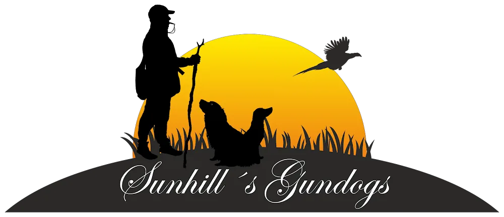 Sunhill - North Denmark pet otel görseli 2