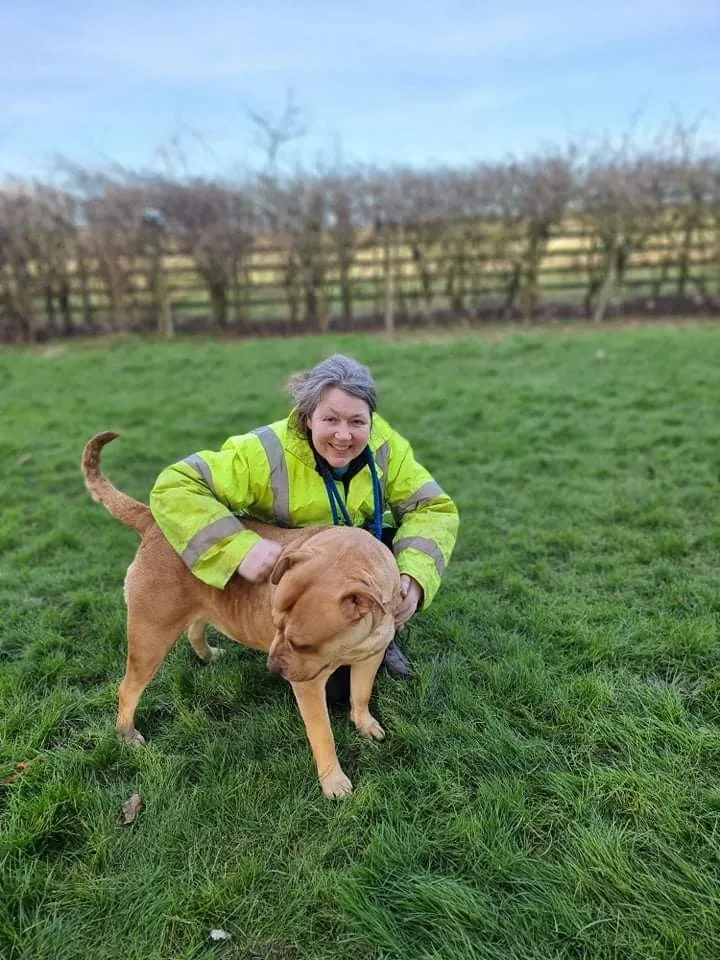 Abbey Boarding Kennels - North East Lincolnshire pet otel
