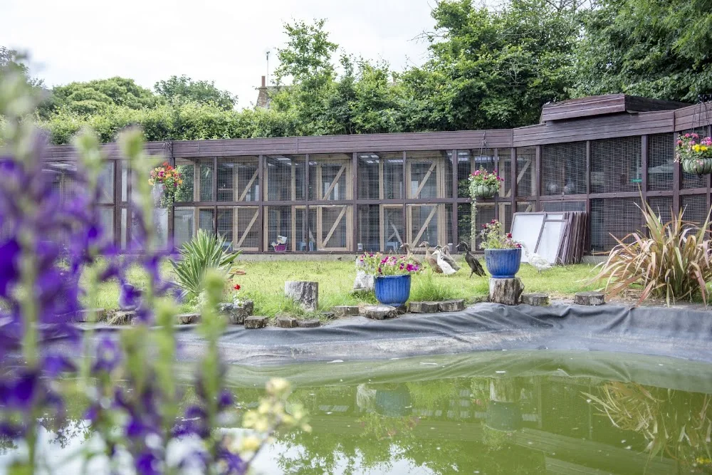 Broadlands Cattery, 5 Rated by WLDC - North East Lincolnshire pet otel