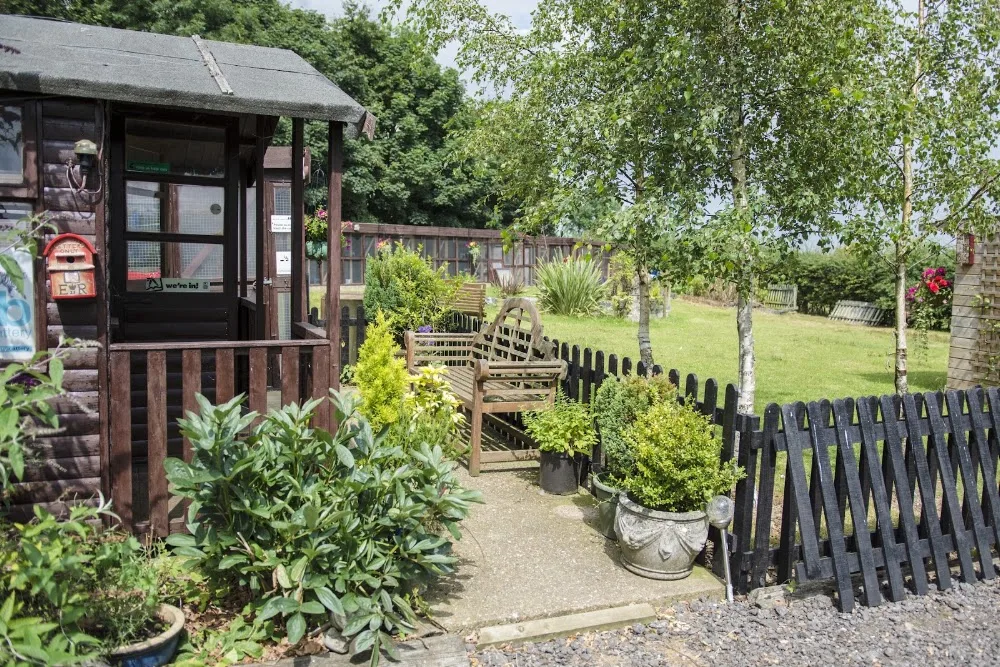 Broadlands Cattery, 5 Rated by WLDC - North East Lincolnshire pet otel görseli 3