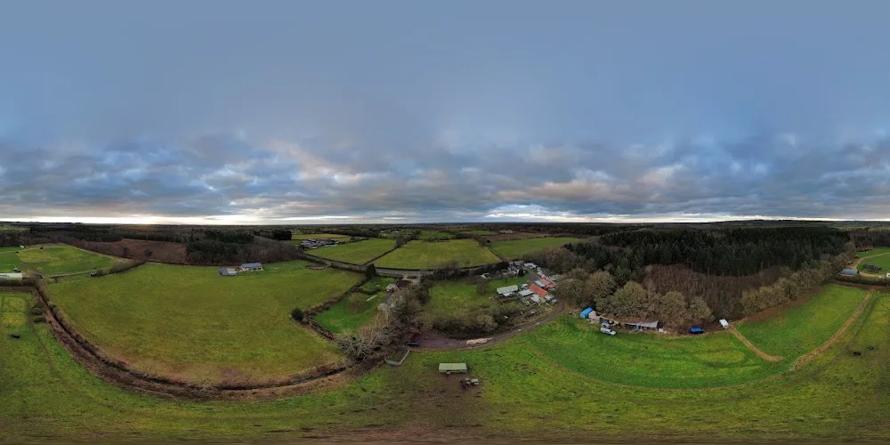 Crossroads Farm kennels - North East Lincolnshire pet otel görseli 3
