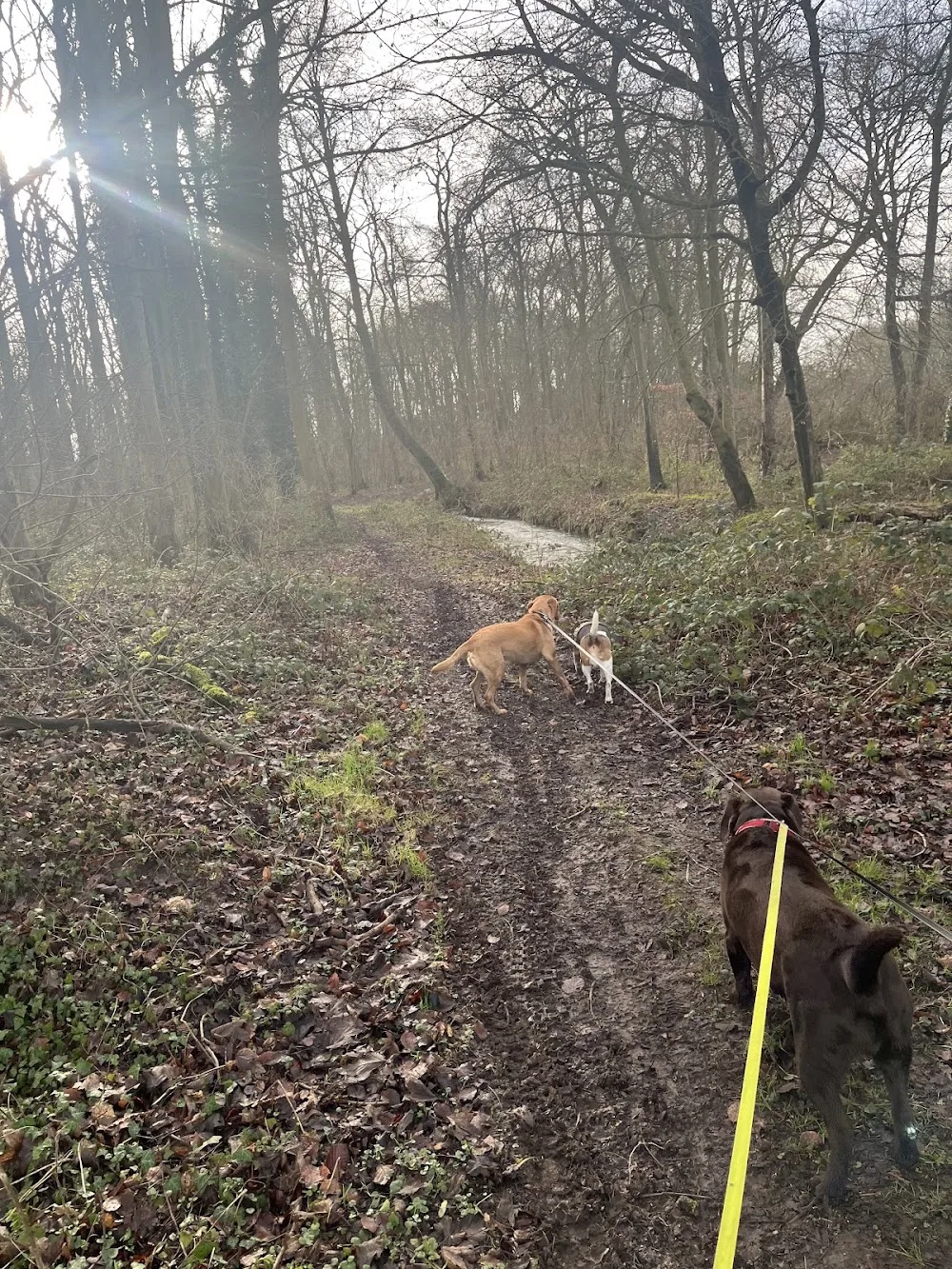 Happy Trails Pet Services - North East Lincolnshire pet otel görseli 2