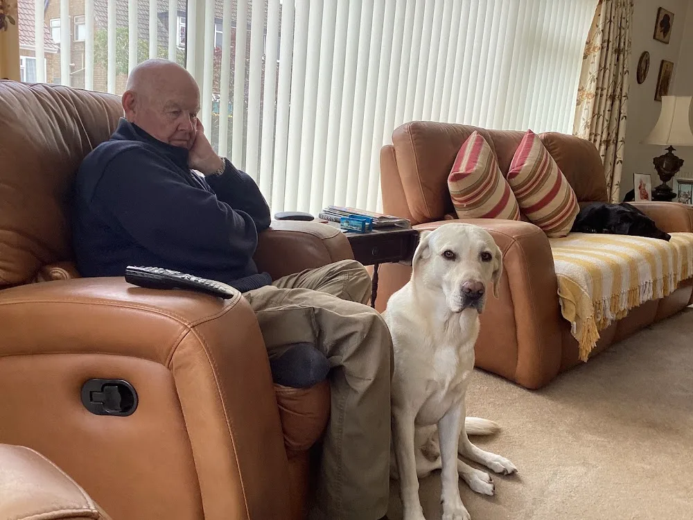 Littleclose kennels - North East Lincolnshire pet otel görseli 2