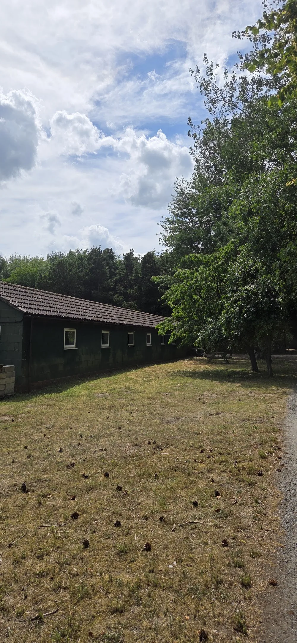 Love of dogs boarding - North East Lincolnshire pet otel görseli 2