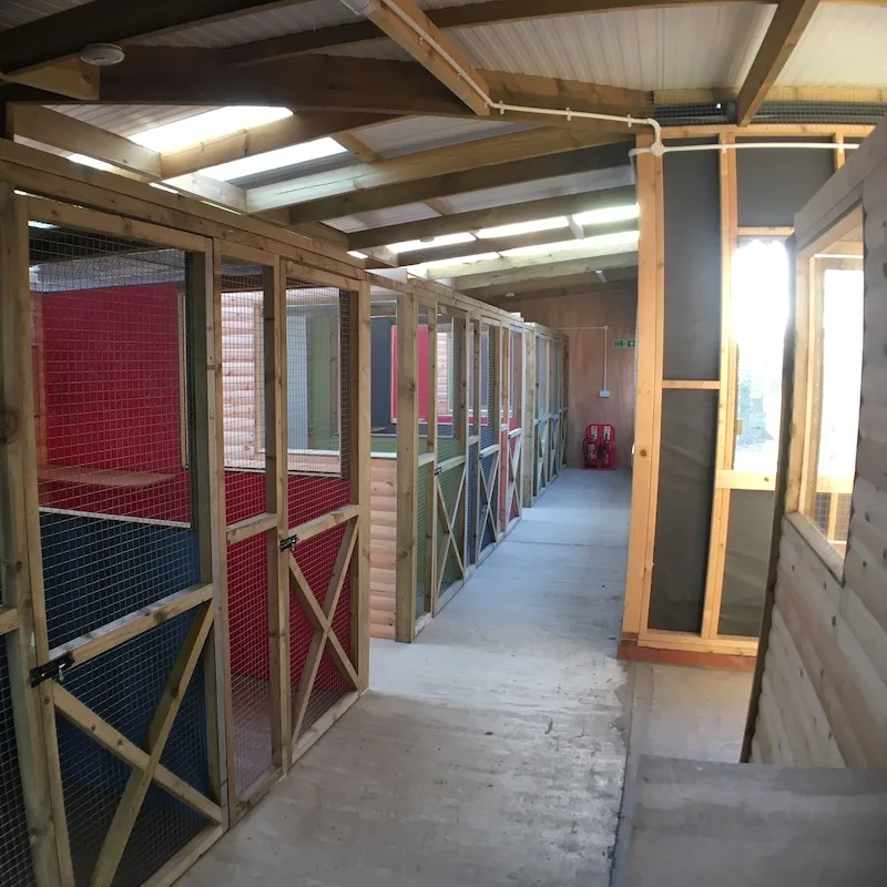 Manor Cattery - North East Lincolnshire pet otel görseli 2