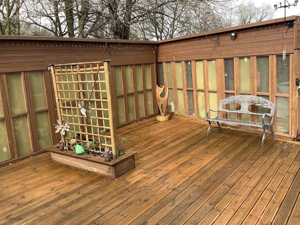 Paws In The Forest - North East Lincolnshire pet otel görseli 3