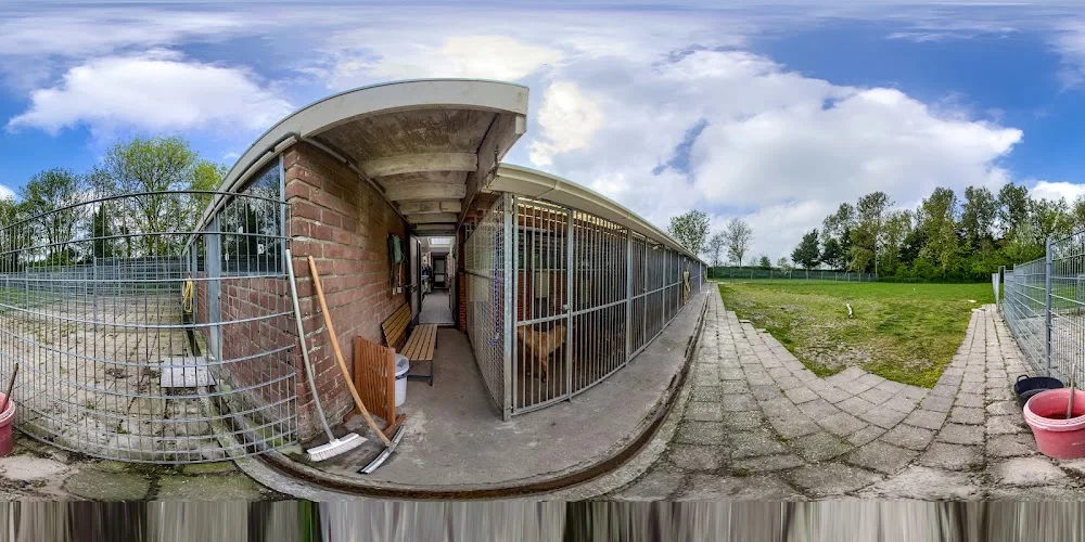 Hondenhotel Egmond - North Holland pet otel görseli 4