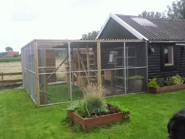 Kattenpension Wieringerwaard - North Holland pet otel görseli 3