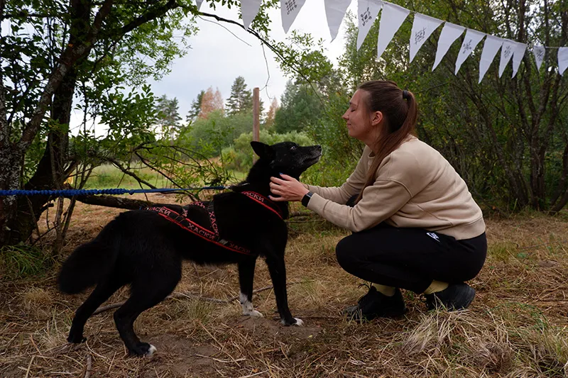 Husky Pride Karelia - Хаски Прайд Карелия - North Karelia pet otel görseli 3