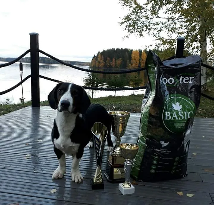 Kennel Cipacan - North Karelia pet otel görseli 5